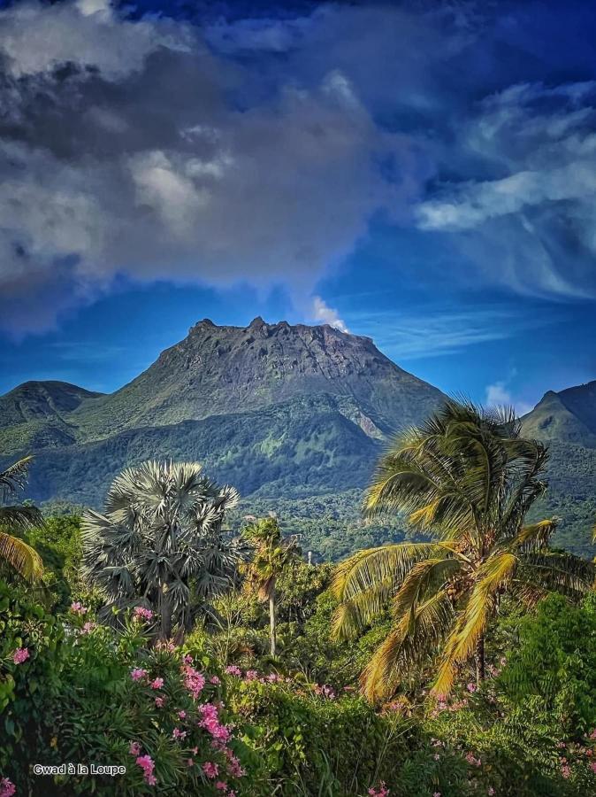 Vue Exclusive Mer Et Volcan, Village Vacances Avec Plage Et Piscine, Les Gwadastudios Sainte-Anne  Dış mekan fotoğraf