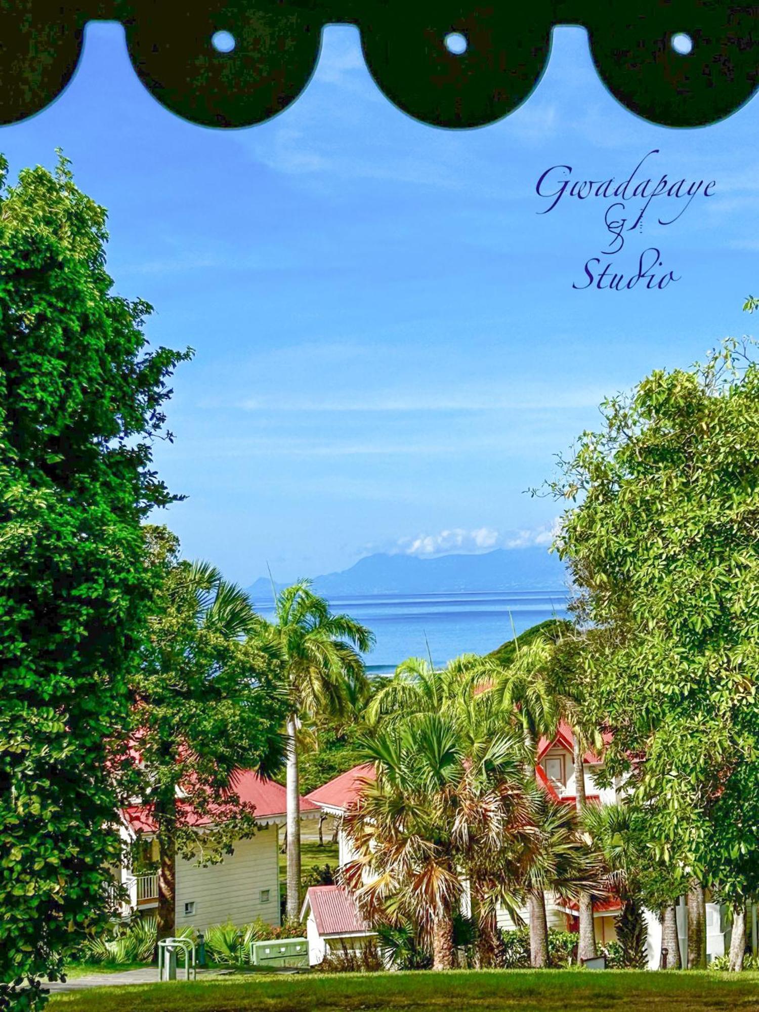 Vue Exclusive Mer Et Volcan, Village Vacances Avec Plage Et Piscine, Les Gwadastudios Sainte-Anne  Dış mekan fotoğraf
